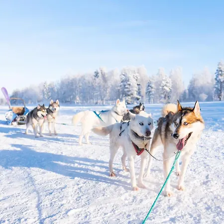 Hiisi Lapland Aurora Riverside