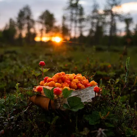 Hiisi Lapland Aurora Riverside Chalet *